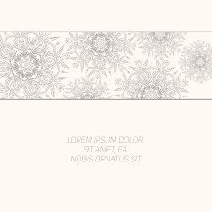 Floral abstract ornament vector illustration N10