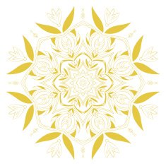 Floral ornament vector illustration N13