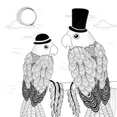 elegant parrots