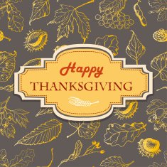 Thanksgiving background with leaves and inscription in the middle N2