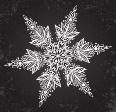 Beautiful hand drawn ornamental doodle snowflake