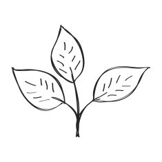 Simple doodle of a leaf