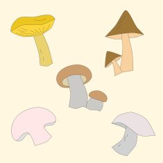 Mushrooms vector illustration