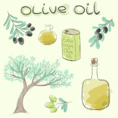 Hand drawn vector olive set