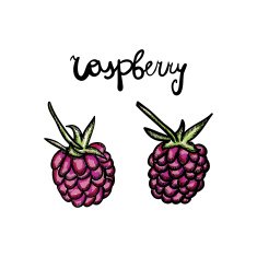 Raspberry in doodle style