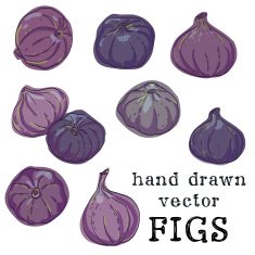 Set of hand drawn colorful sketchy figs