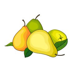 Pear Fruit N3