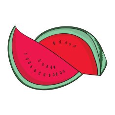Watermelon fruit vector illustration