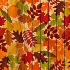 Wood background from autumn leaves