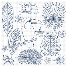 Hand drawn doodle set with toucan and tropical elements