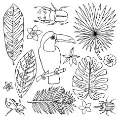 Hand drawn doodle set with toucan and tropical elements N2