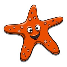 Starfish black and white N2