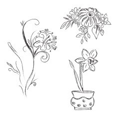 Sketch of flowers hand drawing vector illustration