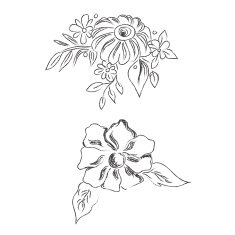 Sketch flowers hand drawing vector illustration