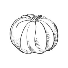 doodle pumpkin N2