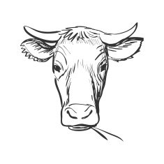 doodle cow N3