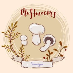 mushroom design