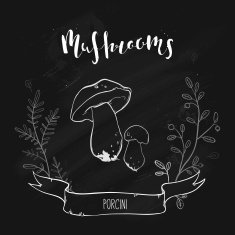 mushroom design N10