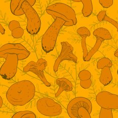 mushroom pattern N2