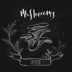 mushroom design N11