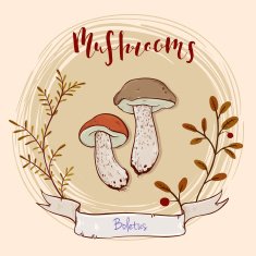 mushroom design N14