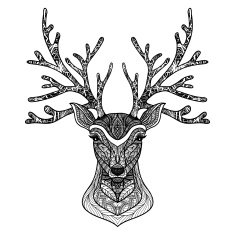 Decorative Deer Portrait