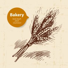Bakery sketch background Vintage hand drawn illustration N8
