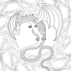 mystery dragon coloring page