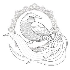 graceful bird coloring page N2