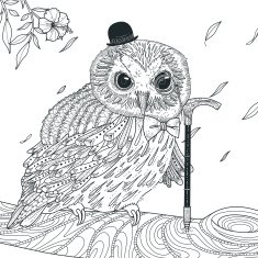 adorable owl coloring page N2