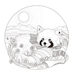 lovely raccoon coloring page