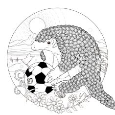 lovely armadillo coloring page