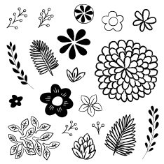 Floral and Leaf Elements Set