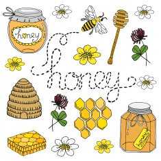 Honey set hand drawn collection