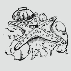 Doodle Starfish with shell