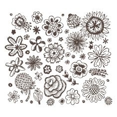 Flowers Vector set of Hand Drawn Doodles flowers