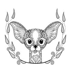 Zentangledesert Fox head totem in frame for adult