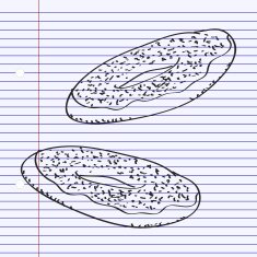 Simple doodle of a doughnut N3
