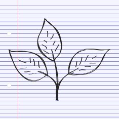 Simple doodle of a leaf N2