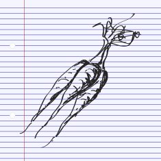 Simple doodle of a bunch carrots N2