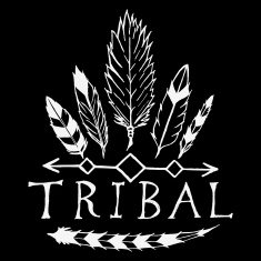 Design elements in tribal style N2
