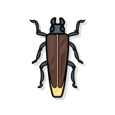 Bug doodle N2 free image download