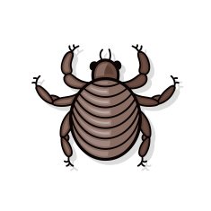 bug doodle N4