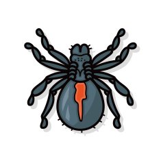 bug doodle N5