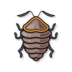 bug doodle N6