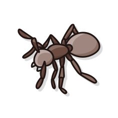 bug doodle N24