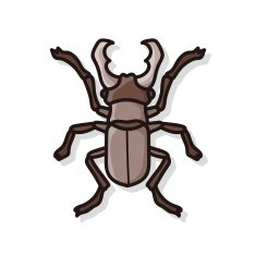 bug doodle N29