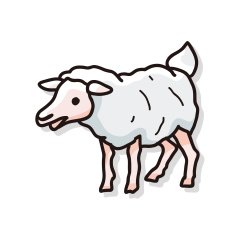 sheep doodle N2
