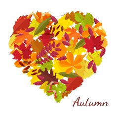 heart from autumn leaves
