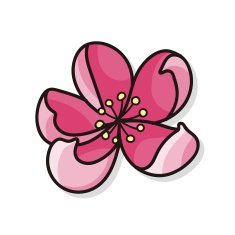 Plum flower doodle
